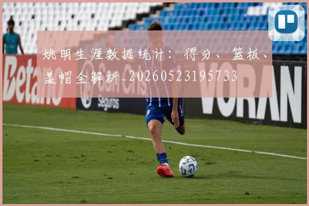 姚明生涯数据统计：得分、篮板、盖帽全解析_20260523195733